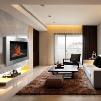 photo Wall-to-ceiling BIO-FIREPLACES - Treviso - Steel 2