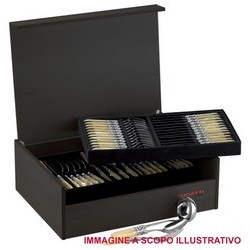 Modelo de conjunto de cubiertos Arianna (Ghiera Argentatura anticata) - Set 75 piezas