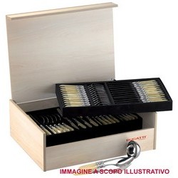 Modelo de conjunto de cubiertos Rinascimento (Ghiera Argentatura anticata) - Set 75 piezas