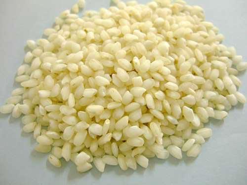 Vialone Nano Rice - 5 Kg - Envasado en atmósfera protectora y bolsa de lona