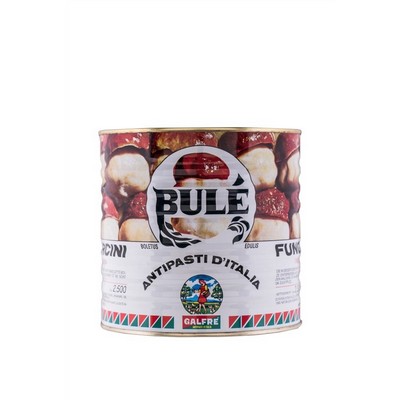Grandes consumidores: hongos porcini en aceite de lata bulè kg.2.5 - Producto artesanal italiano