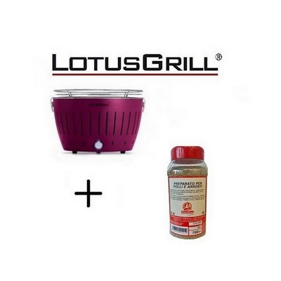 New 2023 Purple Barbecue with Batteries and USB Power Cable + Spice Mix for BBQ
