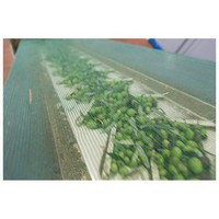 photo Natives Olivenöl Extra-12x0,5 L zylindrische Dosen-Handwerksprodukt aus 100% Italienischen Oliven 4