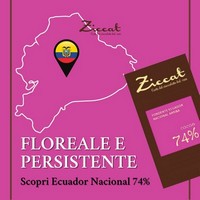 photo Ziccat - Tavolette Monorigine - Ecuador 74% - 3 x 70 g 2