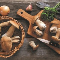 photo Portofino - Special Dried Porcini Mushrooms - 3 x 50 g 3