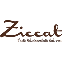 logo Ziccat