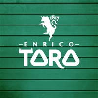 logo Enrico Toro